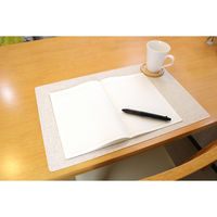 明和グラビア　抗ウイルスランチョンマット　VPM-ムジ　 BE4977932273696　1セット（10枚入）（直送品）