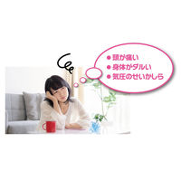 エンペックス気象計 プレシード電波時計 EX-5481 1個