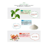 日本リコス 日本リコス ステビアヘルス ホワイト 170g×3個 4580052120018（直送品）