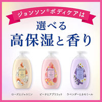 ジョンソン・エンド・ジョンソン（株） ジョンソンボディケア ドリーミースキン アロマミルク ノンフード 日用品×3個（直送品）