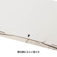 プチフールポストインギフトボックス-S 1セット（100枚） W290×H24×D195mm PFR-PGBS ヘッズ