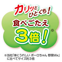 ペティオ 体にうれしい ボーロちゃん 大粒 国産 100g 3個 ドッグフード 犬 おやつ