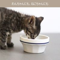 歯みがきを飲む 犬猫用 歯みがきラクヤー リキッド 100ml 1個 トーラス