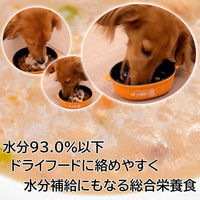 ドギーマン 13歳から用 わんちゃんの国産牛乳スープごはん ビーフと緑黄色野菜入 国産 80g 10個 ドッグフード 犬 ウェット