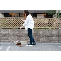 山崎産業 コンドル 庭箒HG(中太繊維)屋内外用 化繊ほうき 長柄 箒 水に強い 1本