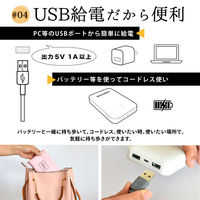 大河商事 ｅｎｅｔａｎｐｏＸ　エネタンポ　シート型ホットマット　ＵＳＢ給電　モス ET-06MS 1個（直送品）