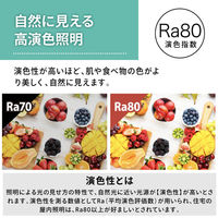 大河商事 LEDデスクライト スプリットライト 幅38cm 5段調光 調色4色 ホワイト wasser88WH 1個（直送品）