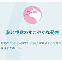 ピュリナワン 猫 子ねこ用 800g（400g×2袋）1袋キャットフード ドライ ネスレ日本