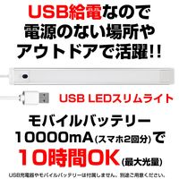 朝日電器株式会社 ＬＥＤ多目的灯ＵＳＢ　プッシュ ALT-USB2030PS(L) 1個