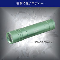 朝日電器 LEDカラーアルミライト DOP-EP302(MG) 1個