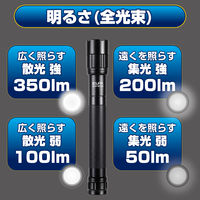 朝日電器株式会社 ＬＥＤアルミライト DOP-EP530 1個