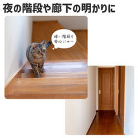 朝日電器 LEDセンサー付きライト PM-LF002PIR(W) 1個