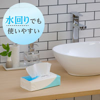 ティッシュペーパー 160組 エリエールソフトパックティシュー 1パック（8個入） 大王製紙