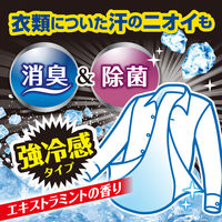 アイスノン シャツミスト エキストラミント 100mL 1セット（3本） 白元アース