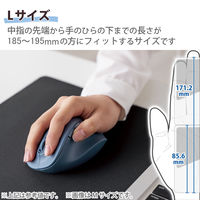 Bluetoothマウス 静音 ワイヤレス 無線 握りの極み 5ボタン L ブルー M-XGL30BBSKBU エレコム 1個