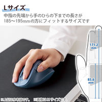 ワイヤレスマウス 静音 無線 2.4GHz 握りの極み 5ボタン Lサイズ ブルー M-XGL30DBSKBU エレコム 1個