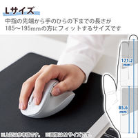 ワイヤレスマウス 静音 無線 2.4GHz 握りの極み 5ボタン Lサイズ ホワイト M-XGL30DBSKWH エレコム 1個