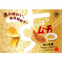 すっぱムーチョチップス 肉の余韻 3袋 湖池屋 ポテトチップス スナック菓子 おつまみ