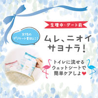 デリケート ウェットシート Femia フェムウエット20枚×2個パック 無香料 デリケートゾーン用 レック