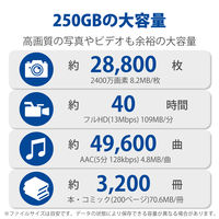 SSD 外付け 250GB スライド式 USB3.2(Gen2) 高速 ブラック ESD-EMB0250GBK エレコム 1個（直送品）