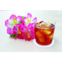 FSCペーパーコースター 丸型 1セット（1000枚：100枚入×10個） CR905KF