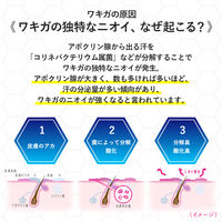 リフレア デオドラントクリーム 55g 無香料 2個 ロート製薬