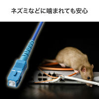 サンワサプライ アーマード1芯光ファイバケーブル（シングルモード、SC-SC、5m） HKB-AM1SCSC1-05 1個（直送品）