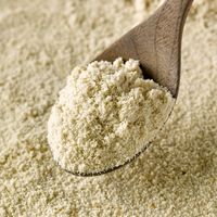 からだにやさしいお砂糖 低GI 500g 2袋 さとうきび原料100% チャック付き袋 大東製糖