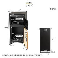 三栄コーポレーション 木目調ポスト付き宅配ボックス ブラック×木目調ナチュラル A1-DLMPBBKNA_AS 1台（直送品）