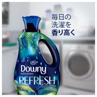 P＆G ダウニー インフュージョン リフレッシュ・バーチウォーター&ボタニカル 1.66L 037000241553（直送品）