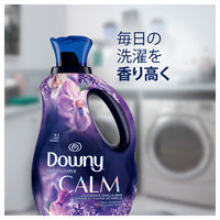 P＆G ダウニー インフュージョン カーム・ラベンダー&バニラービーン 1.66L 037000210740 1セット(4個入)（直送品）
