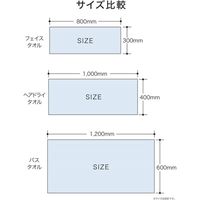 シービージャパン タオル パープル 速乾 フェイスタオル マイクロファイバー カラリ 4582106478724 1枚