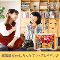 エンジョイハロウィン ガーナ＆クランキー シェアパック 3個 ロッテ チョコレート 個包装 ハロウィン