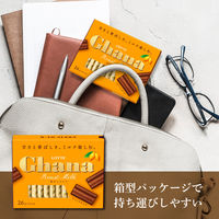 チョコレート菓子 ガーナ　ローストミルクエクセレント　119g 1セット（1個×6）