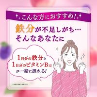 森永乳業 TBC 1日分の鉄分 ピーチミックス 330ml 1箱（12本入）【紙パック】 飲料 サプリメントドリンク