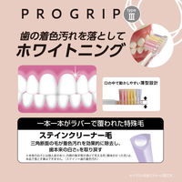 プログリップハブラシ typeIII 歯の美白に ふつう 1本 エビス