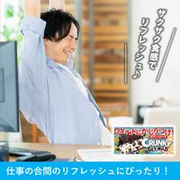 GET WILD クランキー＜NYチーズケーキ＞ 10個 ロッテ チョコレート