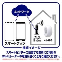 カシムラ スマート人感センサー KJ-193 1個