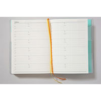 高橋書店 【2024年版】ポケットダイアリー A6 1頁1日 日曜始まり グリーン 23 1冊（直送品）