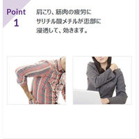 ゼノールチックE 33g 10箱セット 大鵬薬品工業  塗り薬 肩こり 筋肉痛 腰痛 関節痛 打撲・捻挫 しもやけ【第3類医薬品】