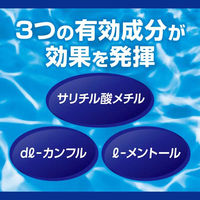 ラフェルサバンスキットSシップ 48枚 5箱セット 三友薬品　貼り薬 冷シップ パップ剤 腰痛 筋肉痛 打撲【第3類医薬品】