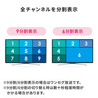 サンワサプライ ダイレクト:9分割ワンセグ・フルセグ視聴プレーヤー 400-1SG006 1本（直送品）
