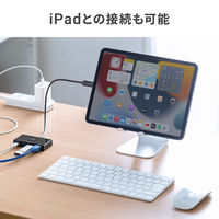 サンワサプライ ダイレクト:USB Type-Cハブ付き ギガビットLANアダプタ 400-HUBC5BK 1個（直送品）