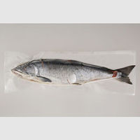 ＜2023年お歳暮＞佐藤水産 北海道　銀毛新巻鮭　姿切り身 MS-018C 1箱（直送品）