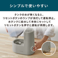 アイリスオーヤマ 加湿器 卓上 260ml アロマ対応 小型 スチーム式加湿器 加熱式 2.4L AHM-H26B-G フォググリーン