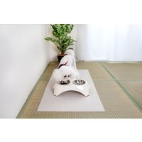 サンコー 畳用 おくだけ吸着 畳に使えるタイルマット グレージュ 1セット(4枚入) KX-93 洗える 撥水 ハサミでカット（直送品）