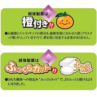 越後の鏡餅 切り餅 10～11個入・440g 国内産水稲もち米100％ 1セット（2個）越後製菓 15号