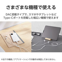 イヤホン タイプC マイク付き カナル型 耳せんタイプ 有線 シルバー EHP-DF11CMSV エレコム 1個（直送品）