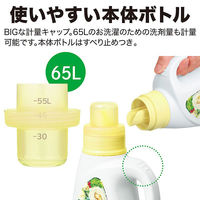 【旧品】香りつづくトップ 抗菌プラス 詰め替え 720g 1セット（2個入） 衣料用洗剤 ライオン