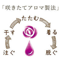 【在庫処分】【旧品】ソフラン アロマリッチ ジュリエット 本体520mL 1個 ライオン